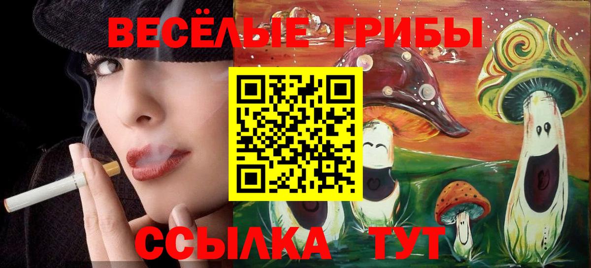Псилоцибиновые грибы Psilocybine cubensis Ейск
